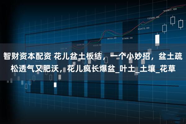 智财资本配资 花儿盆土板结，一个小妙招，盆土疏松透气又肥沃，花儿疯长爆盆_叶土_土壤_花草