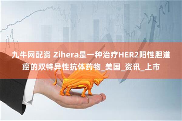 九牛网配资 Zihera是一种治疗HER2阳性胆道癌的双特异性抗体药物_美国_资讯_上市